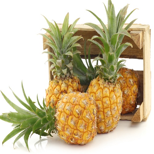 Baby Pineapples