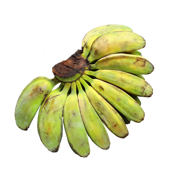Banana Saba